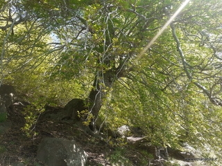 qua Rocca15-05-2022 10-02-24